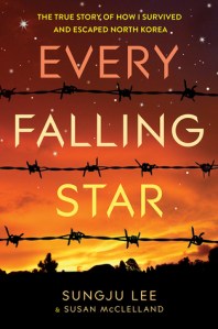 EveryFallingStar