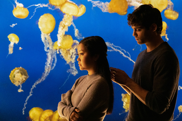 To All The Boys: P.S. I Still Love You